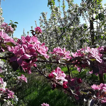 Bed & Breakfast Von 3*