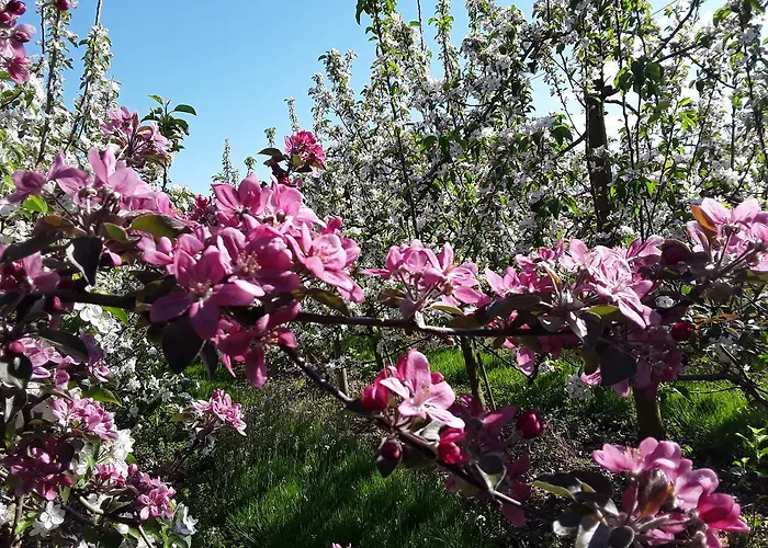 Bed & Breakfast Von 3*